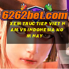 xem truc tiep viet nam vs indonesia hom nay