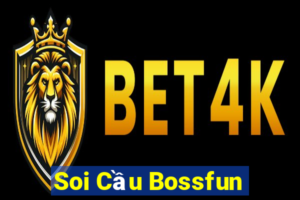 Soi Cầu Bossfun