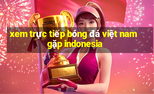 xem trực tiếp bóng đá việt nam gặp indonesia