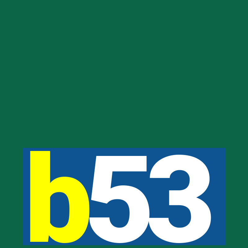 b53