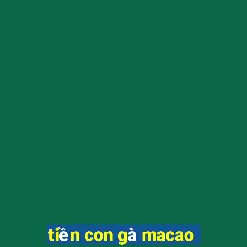 tiền con gà macao