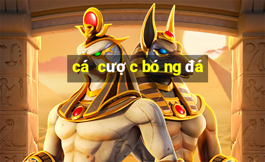 cá cược bóng đá