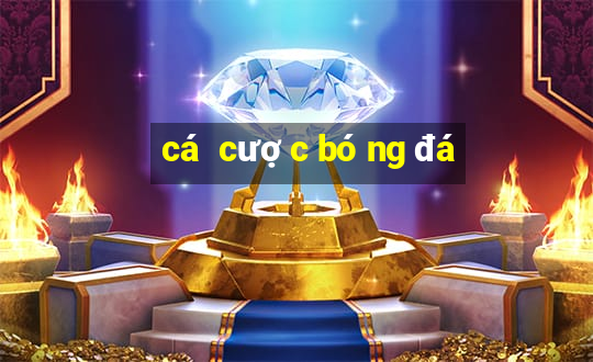 cá cược bóng đá