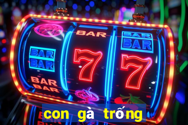 con gà trống số mấy