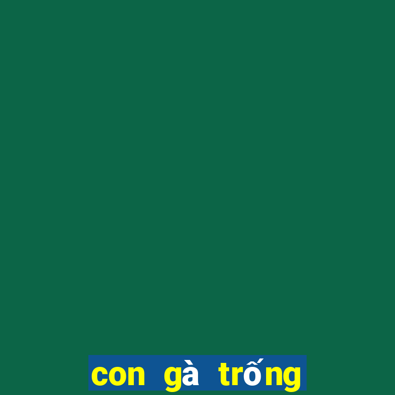 con gà trống số mấy