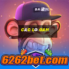 các lô gan