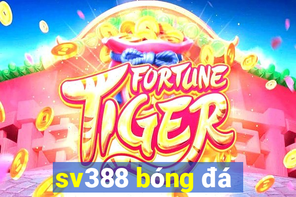 sv388 bóng đá