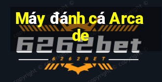 Máy đánh cá Arcade