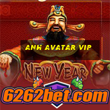 anh avatar vip