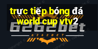 trực tiếp bóng đá world cup vtv2