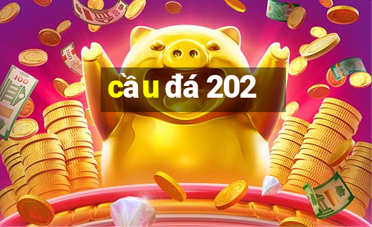 cầu đá 202