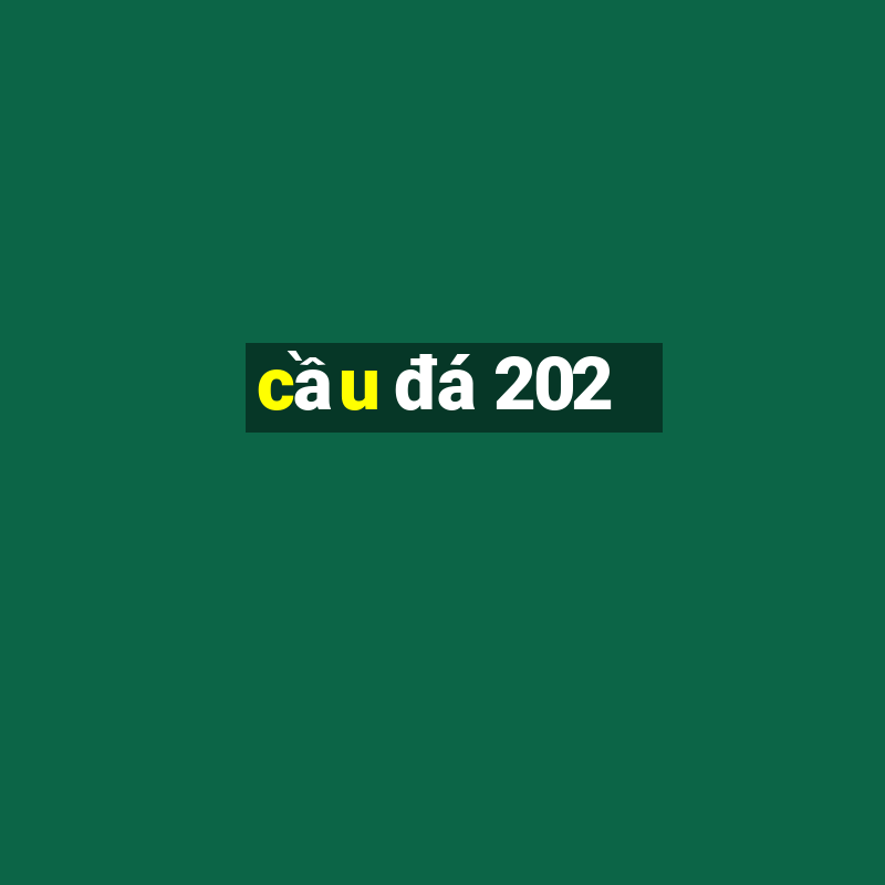 cầu đá 202