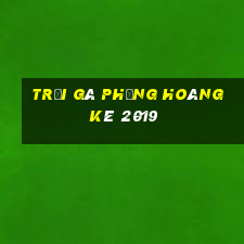 trại gà phụng hoàng kê 2019