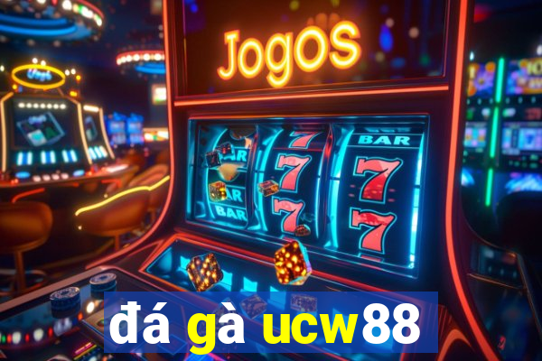 đá gà ucw88