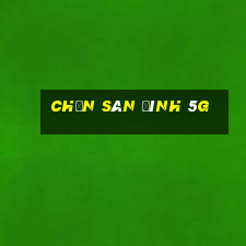 chắn sân đình 5g