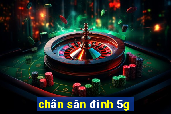 chắn sân đình 5g