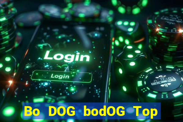 Bo DOG bodOG Top Bo Net