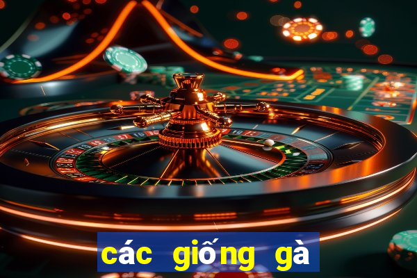 các giống gà đá trên thế giới