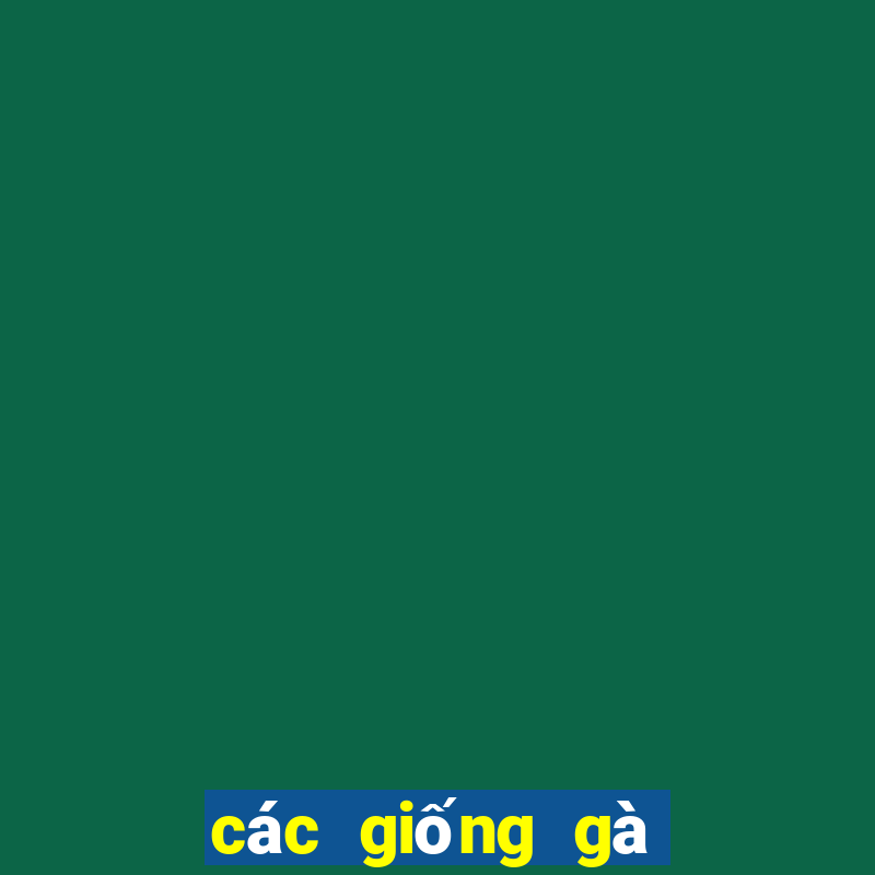 các giống gà đá trên thế giới