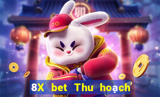 8X bet Thu hoạch lớn Việt nam