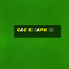 các số đánh đề