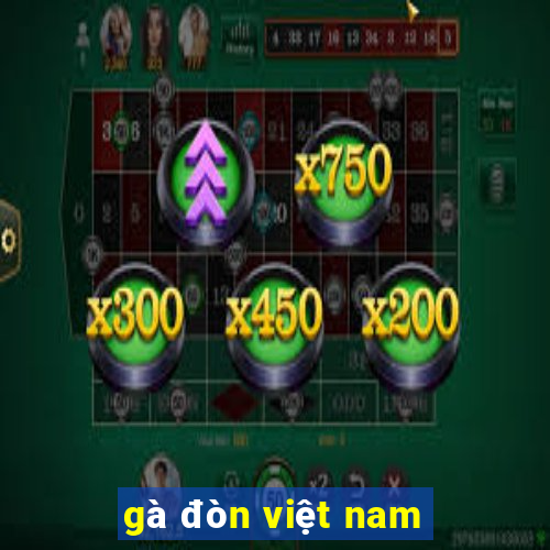 gà đòn việt nam